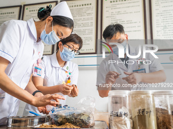 Medical staff exchange plans for traditional Chinese medicine at the Hospital of Traditional Chinese Medicine in Bijie, Southwest China's Gu...