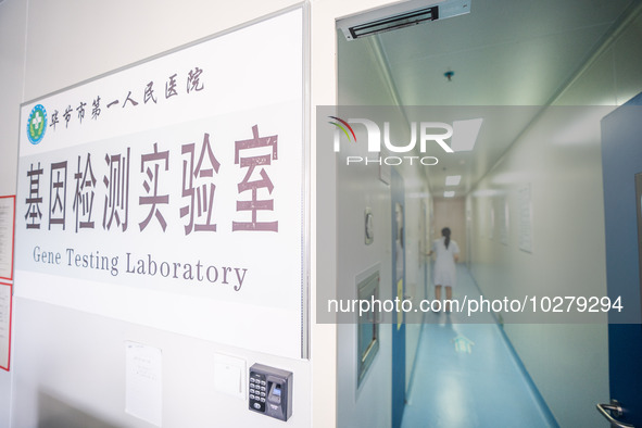 Photo taken on July 13, 2023 shows a Gene-testing laboratory at the First People's Hospital in Bijie, Southwest China's Guizhou province. 