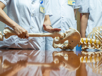 Medical staff discuss the treatment of femoral head necrosis at the First People's Hospital in Bijie, Southwest China's Guizhou province, Ju...