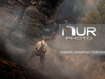 

Firefighters are trying to extinguish a wildfire in Nea Zoi, Nea Peramos, near Megara, Greece on July 19, 2023. After three days, firefigh...