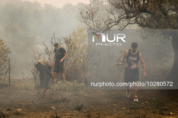 

Locals are helping firefighters to extinguish the fire in Nea Zoi in Nea Peramos, a place near Megara, Greece on July 19, 2023. After thre...