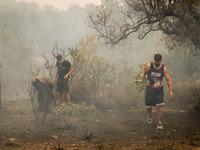 

Locals are helping firefighters to extinguish the fire in Nea Zoi in Nea Peramos, a place near Megara, Greece on July 19, 2023. After thre...