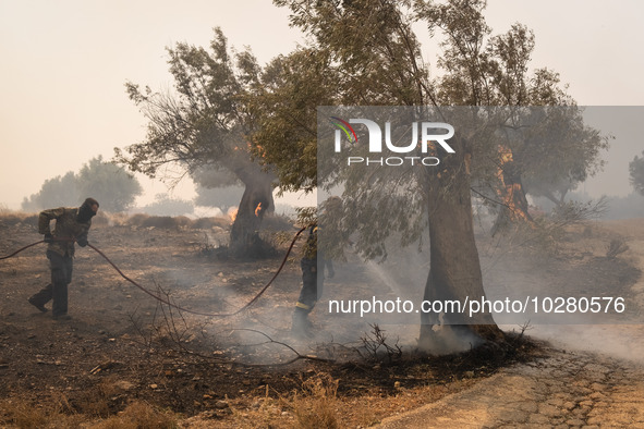 

Firefighters are trying to extinguish a wildfire in Nea Zoi, Nea Peramos, near Megara, Greece on July 19, 2023. After three days, firefigh...