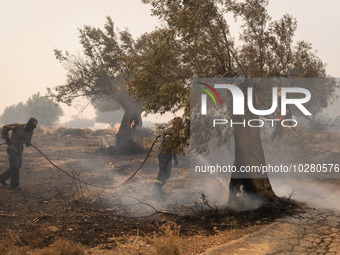 

Firefighters are trying to extinguish a wildfire in Nea Zoi, Nea Peramos, near Megara, Greece on July 19, 2023. After three days, firefigh...