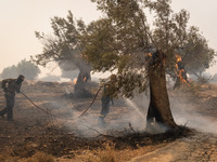 

Firefighters are trying to extinguish a wildfire in Nea Zoi, Nea Peramos, near Megara, Greece on July 19, 2023. After three days, firefigh...