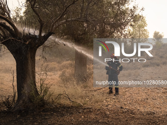 

Firefighters are trying to extinguish a wildfire in Nea Zoi, Nea Peramos, near Megara, Greece on July 19, 2023. After three days, firefigh...