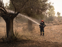 

Firefighters are trying to extinguish a wildfire in Nea Zoi, Nea Peramos, near Megara, Greece on July 19, 2023. After three days, firefigh...