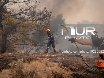 

Firefighters are trying to extinguish a wildfire in Nea Zoi, Nea Peramos, near Megara, Greece on July 19, 2023. After three days, firefigh...