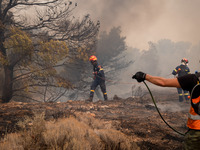 

Firefighters are trying to extinguish a wildfire in Nea Zoi, Nea Peramos, near Megara, Greece on July 19, 2023. After three days, firefigh...