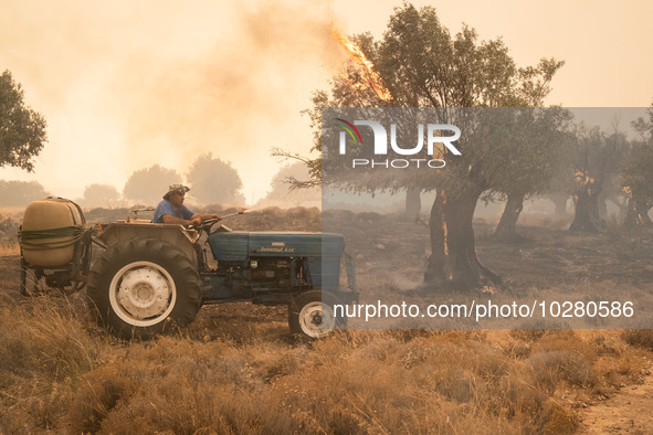 

Locals are helping firefighters to extinguish the fire in Nea Zoi in Nea Peramos, a place near Megara, Greece on July 19, 2023. After thre...