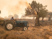 

Locals are helping firefighters to extinguish the fire in Nea Zoi in Nea Peramos, a place near Megara, Greece on July 19, 2023. After thre...