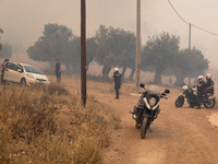 

Police are talking to local people in Nea Zoi in Nea Peramos, a place near Megara, Greece on July 19, 2023. After three days, firefighters...