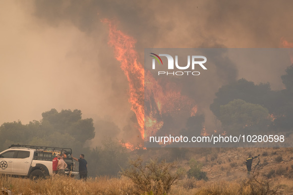 

Burning trees in Nea Zoi in Nea Peramos, a place near Megara, Greece on July 19, 2023. After three days, firefighters are still fighting t...