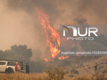 

Burning trees in Nea Zoi in Nea Peramos, a place near Megara, Greece on July 19, 2023. After three days, firefighters are still fighting t...