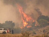 

Burning trees in Nea Zoi in Nea Peramos, a place near Megara, Greece on July 19, 2023. After three days, firefighters are still fighting t...