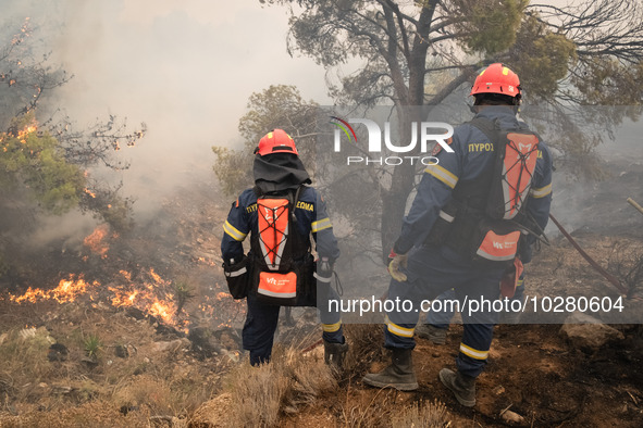 

Firefighters are trying to extinguish a wildfire in Nea Zoi, Nea Peramos, near Megara, Greece on July 19, 2023. After three days, firefigh...