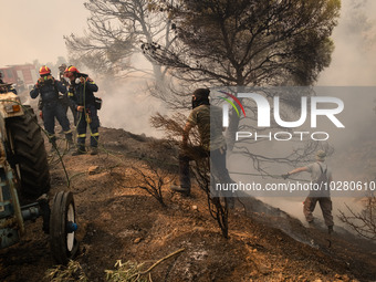 

Firefighters are trying to extinguish a wildfire in Nea Zoi, Nea Peramos, near Megara, Greece on July 19, 2023. After three days, firefigh...