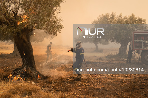 

Firefighters are trying to extinguish a wildfire in Nea Zoi, Nea Peramos, near Megara, Greece on July 19, 2023. After three days, firefigh...