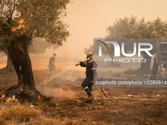 

Firefighters are trying to extinguish a wildfire in Nea Zoi, Nea Peramos, near Megara, Greece on July 19, 2023. After three days, firefigh...