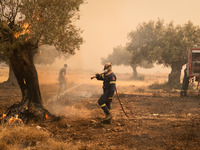 

Firefighters are trying to extinguish a wildfire in Nea Zoi, Nea Peramos, near Megara, Greece on July 19, 2023. After three days, firefigh...