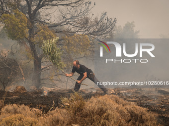 

Locals are helping firefighters to extinguish the fire in Nea Zoi in Nea Peramos, a place near Megara, Greece on July 19, 2023. After thre...