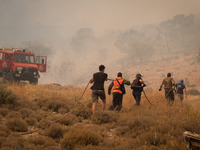 

Locals are helping firefighters to extinguish the fire in Nea Zoi in Nea Peramos, a place near Megara, Greece on July 19, 2023. After thre...