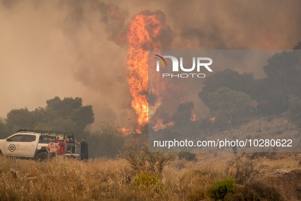 

Burning trees in Nea Zoi in Nea Peramos, a place near Megara, Greece on July 19, 2023. After three days, firefighters are still fighting t...