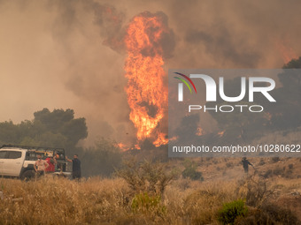 

Burning trees in Nea Zoi in Nea Peramos, a place near Megara, Greece on July 19, 2023. After three days, firefighters are still fighting t...