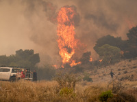 

Burning trees in Nea Zoi in Nea Peramos, a place near Megara, Greece on July 19, 2023. After three days, firefighters are still fighting t...