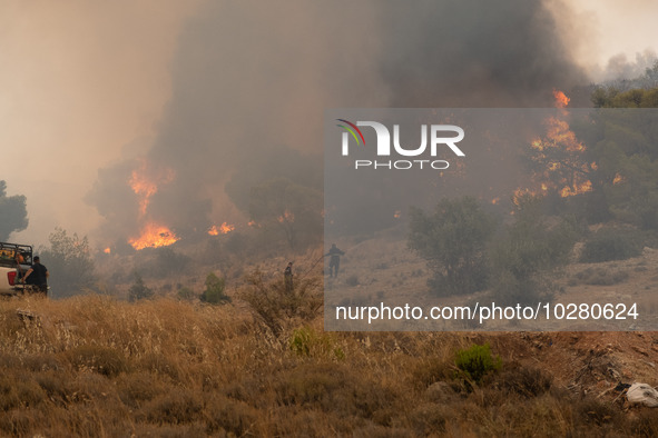 

Burning trees in Nea Zoi in Nea Peramos, a place near Megara, Greece on July 19, 2023. After three days, firefighters are still fighting t...