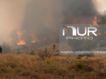 

Burning trees in Nea Zoi in Nea Peramos, a place near Megara, Greece on July 19, 2023. After three days, firefighters are still fighting t...