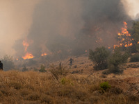 

Burning trees in Nea Zoi in Nea Peramos, a place near Megara, Greece on July 19, 2023. After three days, firefighters are still fighting t...