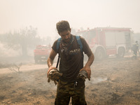 

A man is saving two turtles from the wildfire in Nea Zoi in Nea Peramos, a place near Megara, Greece on July 19, 2023. After three days, f...