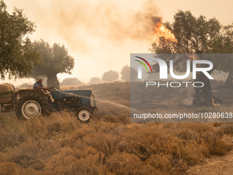 

Locals are helping firefighters to extinguish the fire in Nea Zoi in Nea Peramos, a place near Megara, Greece on July 19, 2023. After thre...