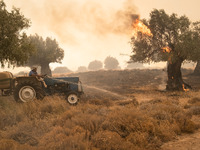 

Locals are helping firefighters to extinguish the fire in Nea Zoi in Nea Peramos, a place near Megara, Greece on July 19, 2023. After thre...