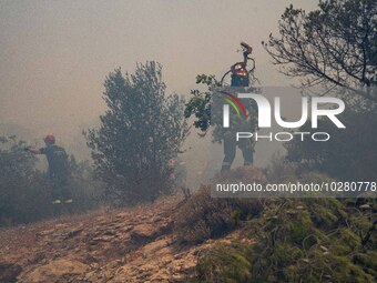 

Athens, Greece, on July 18th, 2023, Greek firefighters are at the Dervenohoria wildfire front. (