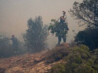 

Athens, Greece, on July 18th, 2023, Greek firefighters are at the Dervenohoria wildfire front. (