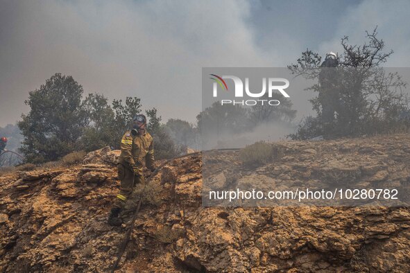 

Athens, Greece, on July 18th, 2023, a firefighter is trying to approach the flames at the Dervenohoria wildfire front. 