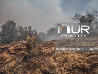 

Athens, Greece, on July 18th, 2023, a firefighter is trying to approach the flames at the Dervenohoria wildfire front. (