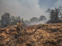 

Athens, Greece, on July 18th, 2023, a firefighter is trying to approach the flames at the Dervenohoria wildfire front. (