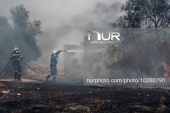 

Athens, Greece, on July 18th, 2023, Greek firefighters are trying to tame the Dervenohoria wildfire, while winds are blowing furiously. 