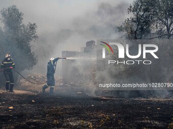 

Athens, Greece, on July 18th, 2023, Greek firefighters are trying to tame the Dervenohoria wildfire, while winds are blowing furiously. (