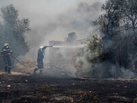 

Athens, Greece, on July 18th, 2023, Greek firefighters are trying to tame the Dervenohoria wildfire, while winds are blowing furiously. (