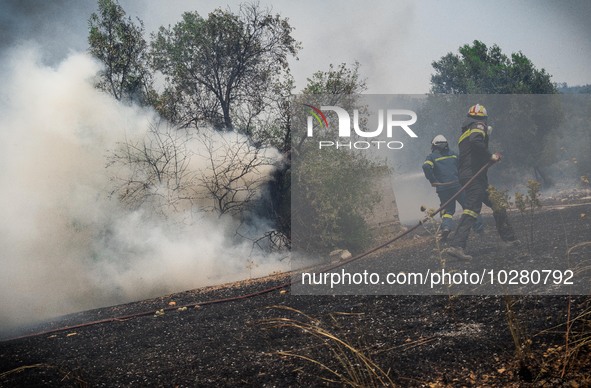 

Athens, Greece, on July 18th, 2023, Greek firefighters are trying to tame the Dervenohoria wildfire, while winds are blowing furiously. 