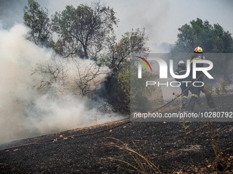 

Athens, Greece, on July 18th, 2023, Greek firefighters are trying to tame the Dervenohoria wildfire, while winds are blowing furiously. (