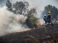 

Athens, Greece, on July 18th, 2023, Greek firefighters are trying to tame the Dervenohoria wildfire, while winds are blowing furiously. (