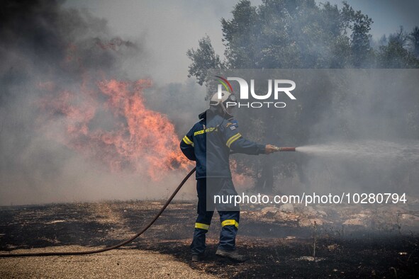 

Athens, Greece, on July 18th, 2023, Greek firefighters are standing against huge flames at the Dervenohoria wildfire. 