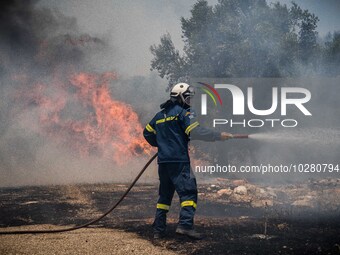 

Athens, Greece, on July 18th, 2023, Greek firefighters are standing against huge flames at the Dervenohoria wildfire. (