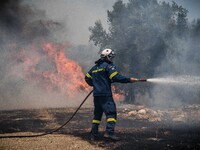 

Athens, Greece, on July 18th, 2023, Greek firefighters are standing against huge flames at the Dervenohoria wildfire. (