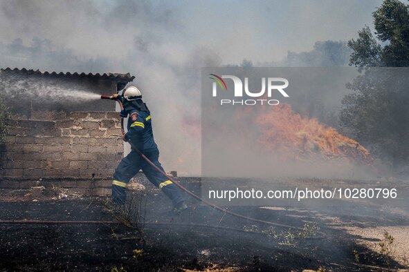 

Athens, Greece, on July 18th, 2023 - Ragind wildfires are burning several houses and structures at Nea Zoi village of Dervenohoria. 